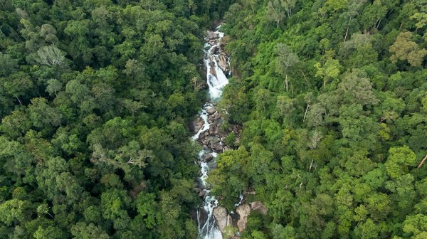 Les secrets d'une publicité Google Ads réussie par une agence web Strasbourg