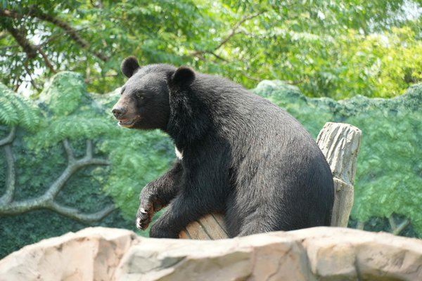 Comment rédiger un CV percutant ?