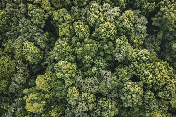 Les bienfaits des rideaux thermiques